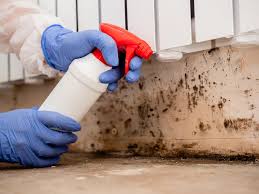 Best Airborne Mold Testing  in Cotulla, TX